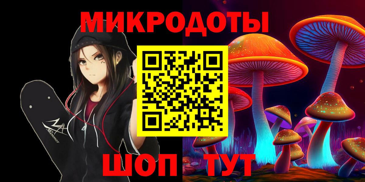 Псилоцибиновые грибы Psilocybine cubensis Торжок